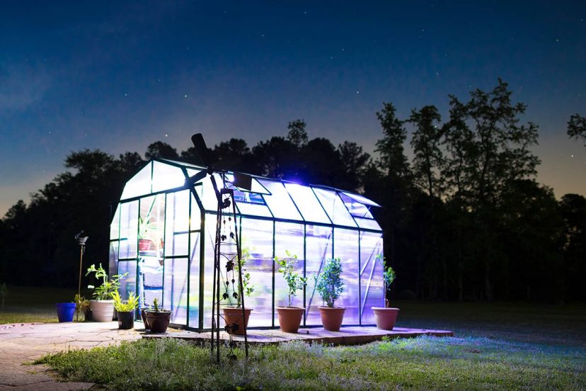 greenhouse lights