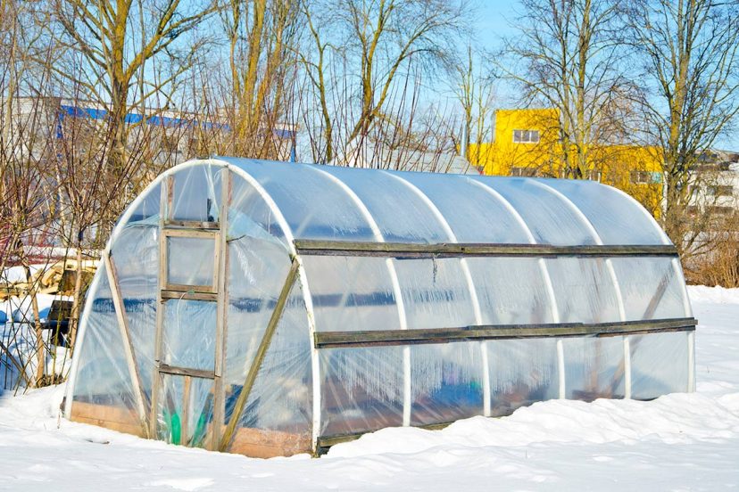 greenhouse plastic