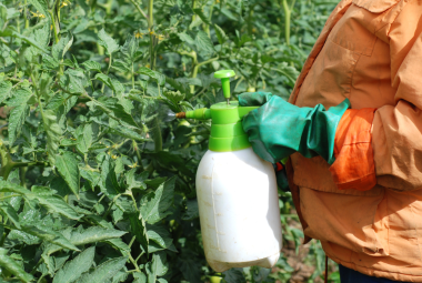 greenhouse fertilizer