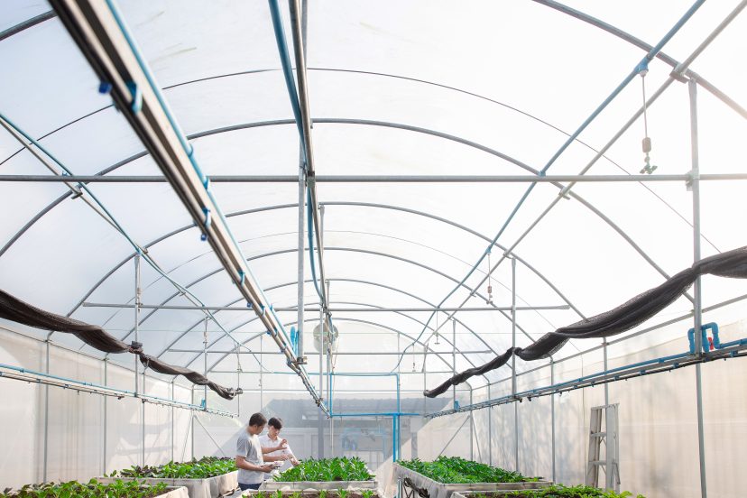 Greenhouse-Covering